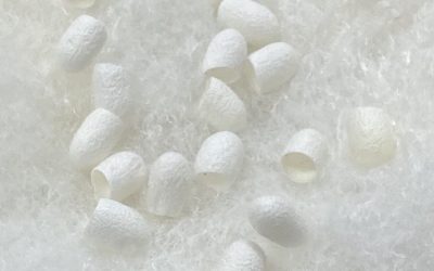 Soie naturelle blanche : l’héritage vivant des femmes d’Ouzbékistan et les bienfaits d’une taie d’oreiller en soie éthique